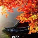 제법