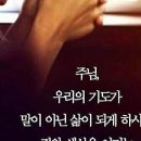 서광(아) 이미지