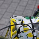 개꿈꾸는 고양이 이미지