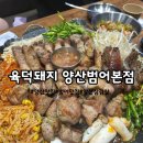392-1-000001 | 양산맛집 범어맛집 양산삼겹살 "육덕돼지 양산범어본점" 푸짐한 삼겹살 한판