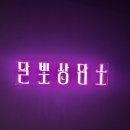부산에서 볼만한 전시 부산서면 미술관 ‘달빛상담소’ 전시 추천! 내돈내산 솔직 후기와 포토존 가득한...