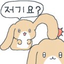 자연사람미래
