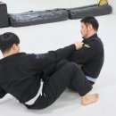 데프짐 | 다짐어플, 가격비교후 할인받고 와이어주짓수데프짐 3달동안 다닌후기!