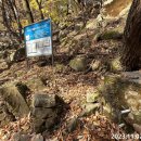 대동사 약수터 이미지