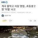 계곡 물막고 식당 영업…초등생 2명 ‘아찔’ 사고 이미지