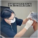 필로스평생교육 | [공지] 눈썹 반영구 교육과정 안내