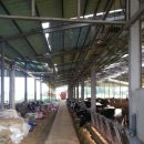 솔밭목장 이미지