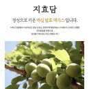 지효담 네이버블로그