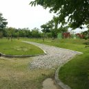 동락공원 반려동물 놀이터 이미지