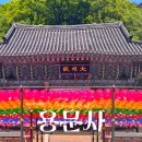 은행나무자동차공업사 | 경기 양평 가볼만한 곳 | 용문사 | 여름에 방문해야 하는 이유 5가지(+은행나무, 주차장, 용문사 맛집)