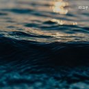 파크우드관광호텔