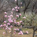 호포농장 이미지