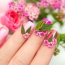 네일미용사 자격증(야간) 이미지