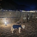 럭셔리호프 이미지