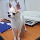 덕영대로 1292 이미지