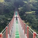 고성시장 이미지