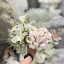 [청주 웨딩드레스 투어 후기ㅣ르마리아쥬 청주점에서 만난 인생 드레스]