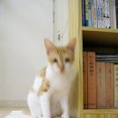 놀아줘 이미지