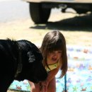 멍멍이가 있는 집 이미지