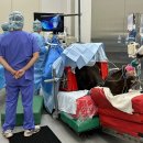 푸디스트(주) 전남대학교병원점 | [수의대생 실습후기] 일본, 호주 말 임상과 재활 동물병원 실습 후기 - 전남대 우도휘