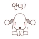 플로라그루밍독 이미지