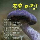 한주로 이미지