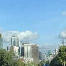 조내과의원 | [30대 갑상선암 #6] 강남 세브란스 심장내과 초진 후기, 수술 전 검사, 대학병원 심장초음파