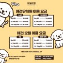 데일리멍 애견유치원, 애견호텔 이미지