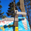작두산성鵲頭山城 | 충북/청주 ㅡ 미답지 작두산(429m)~양성산(350m) 연계산행~^^