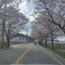 선운자동차공업사 이미지