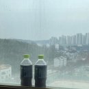 몸치한의원 이미지