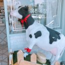 얼룩목장 이미지