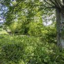 이유 정려각 이미지