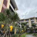 초막동길 9-3 앞 | 2박 3일 이용한 호이안 가족숙소 ‘벨 마리나 호이안 리조트‘ 내돈내산 숙소 후기