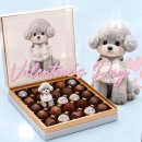 🍫💝 Happy Valentine Day💝🍫용빈님 사랑합니다 이미지