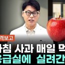 아침사과는 금이다? 70대 어르신 응급실 보낸 사과의 진실. 신장. 혈당스파이크. 피세틴 완전 정리. 이미지