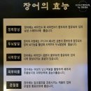 힘찬 풍천민물장어 직판장