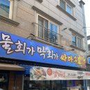 물회가 막회가 싸다구