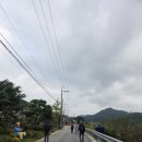 대청호오백리길 찬샘마을길 | 대청호오백리길2코스(20251025토)