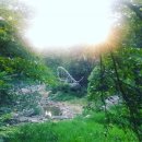 물고기의눈물이호수로 이미지