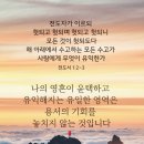 서대천 이미지