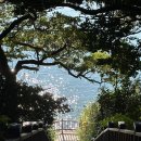 오동도 | 여수 오동도 후기｜입장시간·동백열차·소요시간까지, 아침 산책 코스로 딱!