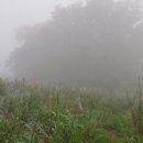 정윤농장 이미지