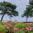 샌드파인 골프클럽 이미지