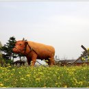수산교 이미지