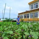 장전농장 이미지