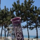 GS25 춘장대점 네이버블로그