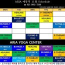 아리아컨설팅 이미지
