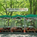 푸른숲펜션 이미지