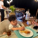 그물과물고기 이미지